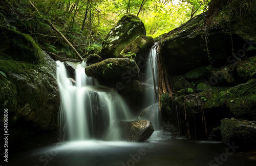 Cascada con efecto seda en un arroyo en medio de rocas cubiertas de musgo en medio de un bosque frondoso