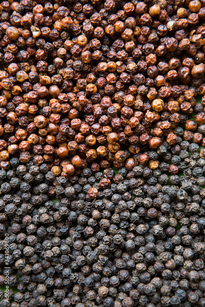 Cambodian Dried black and red pepper corns. Cambodian Dried black and red pepper corns.