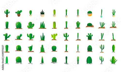 Set of cactus icons