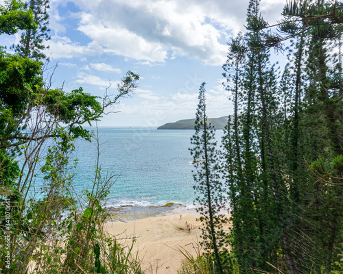 Tortoise bay - Famous new caledonian beach with typical pines : araucaria columnaris in the foreground. landscape format photo