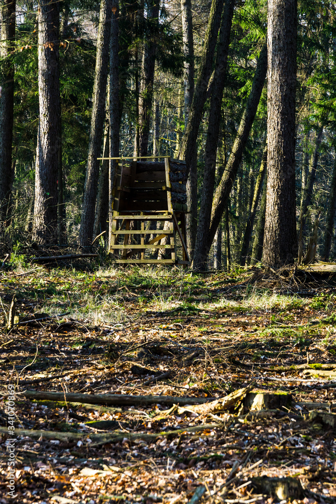 hunter high seat in the forest
