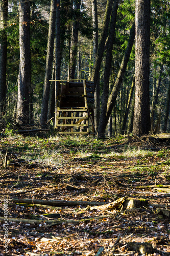 Obraz na płótnie hunter high seat in the forest w salonie