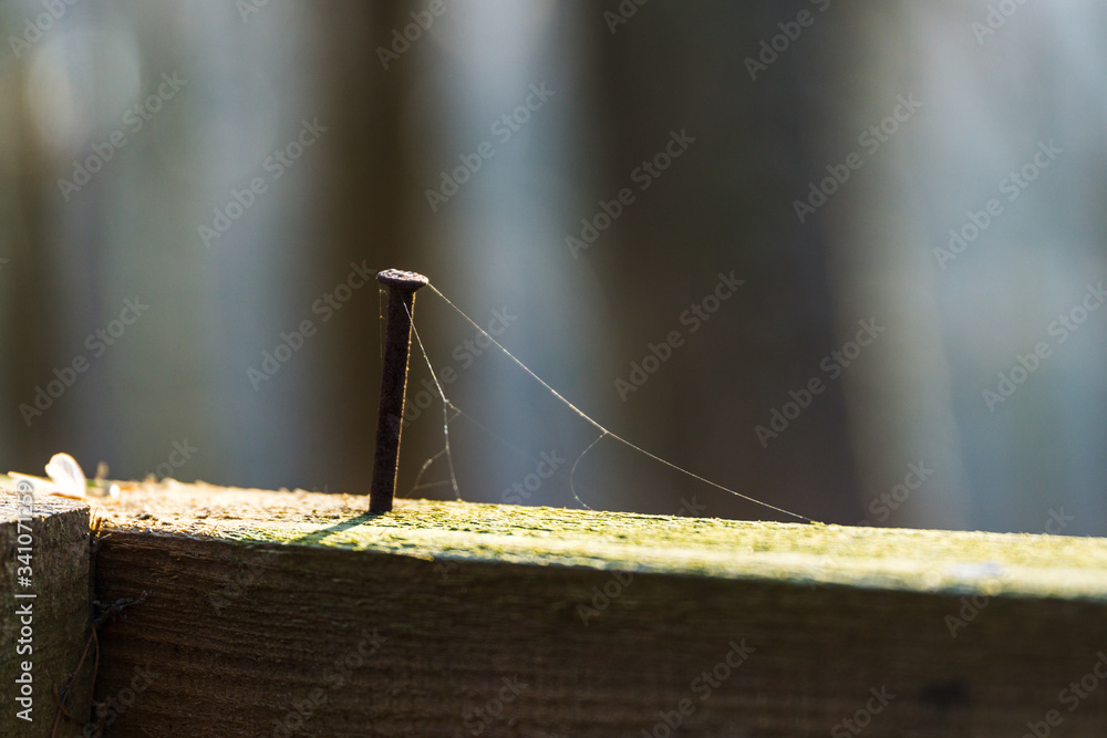 rusted nail in wooden beams