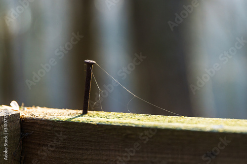 Obraz na płótnie rusted nail in wooden beams w salonie