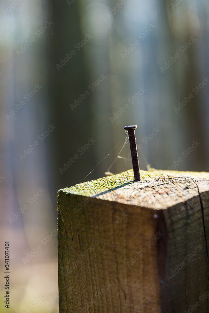 rusted nail in wooden beams
