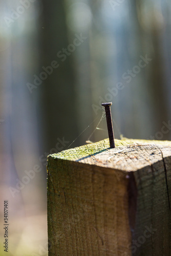 Obraz na płótnie rusted nail in wooden beams w salonie