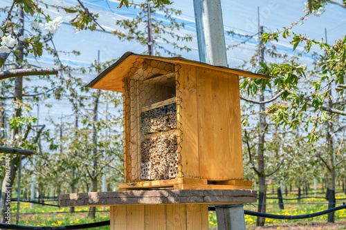 Insektenhotel auf einer Obstplantage zur Unterstützung der ökologischen Landwirtschaft im Einklang mit der Natur © Ralf Geithe