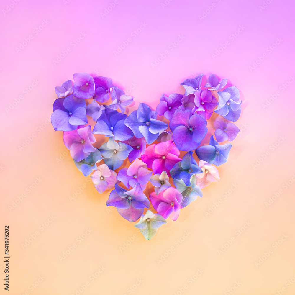 Heart symbol made of pink, blue and purple petals. Flowers of a colorful hydrangea on gradient background. Beautiful backdrop with pink and yellow pastel colors. Florets composition for love story