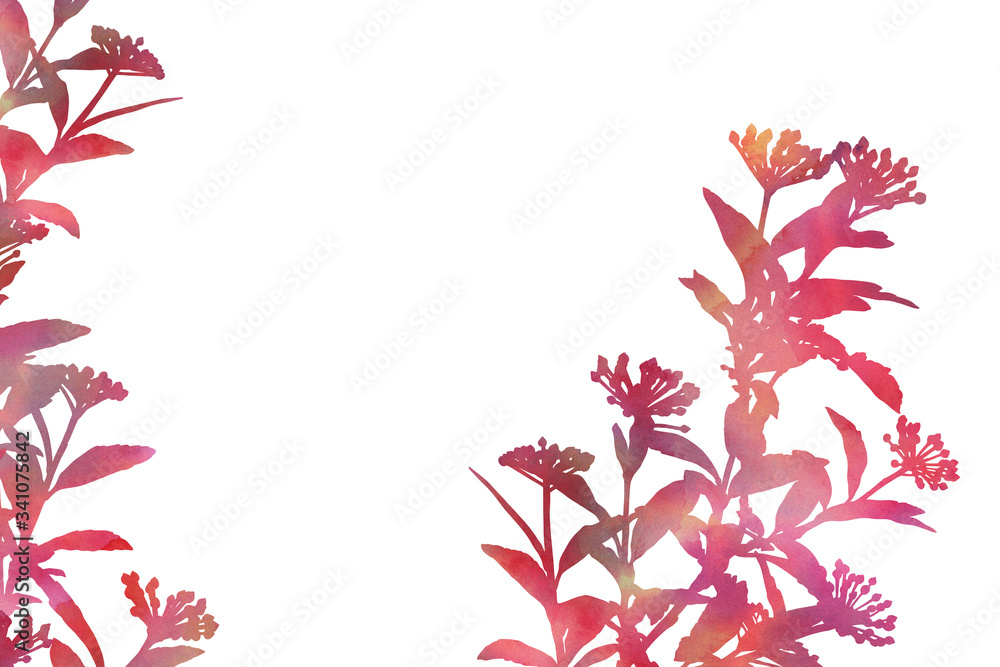 Plants isolated on a white background. Hand painted decorative image with place for text. Bright watercolour picture for creative design of posters, cards, invitations, banners, websites. Plants isolated on a white background. Hand painted decorative image with place for text. Bright watercolour picture for creative design of posters, cards, invitations, banners, websites.