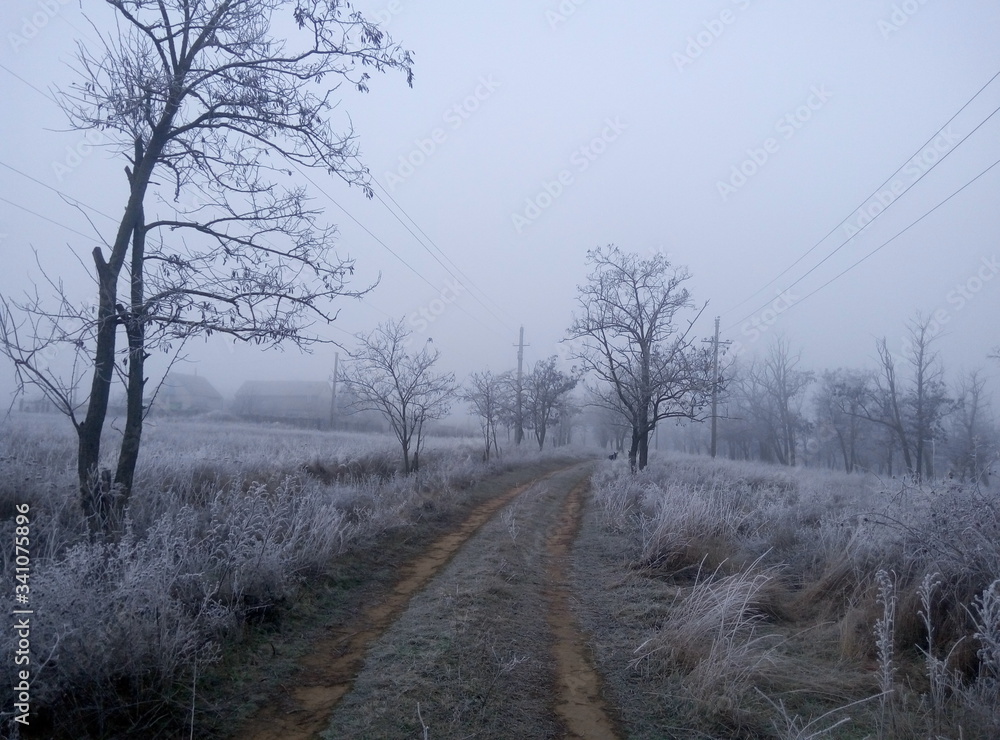 Obraz premium white frost along the road