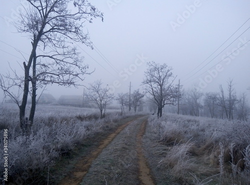 white frost along the road