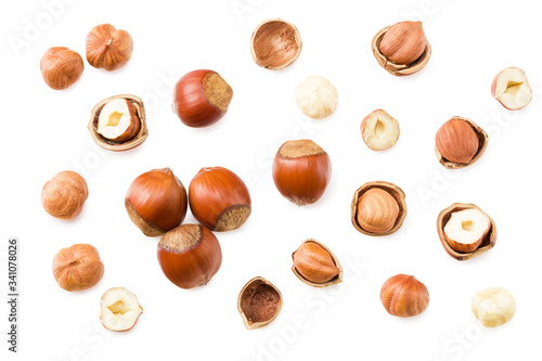 hazelnuts isolated on a white background. top view photo