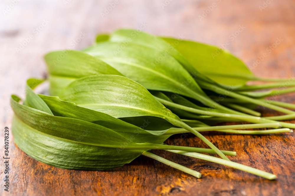 Green wild garlic leaves. Ramsons leaves Green wild garlic leaves. Ramsons leaves