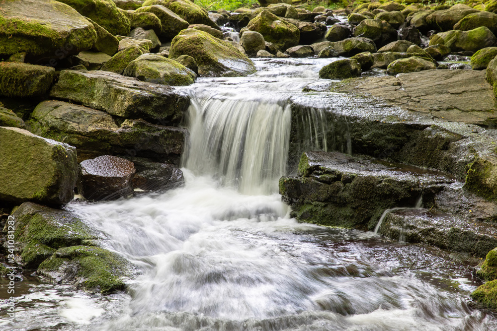 Fototapeta premium Holzbachschlucht 11