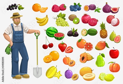 Fruits, berries and farmer, vector food of gardening and farming. Apple, strawberry, orange and cherry, mango, papaya, lemon and banana, blueberry, pineapple, peach and watermelon, lychee and fig