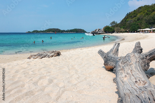 Tropical beach, white sand, turquoise sea, in the foreground a dry tree trunk, people are swimming and relaxing. Pattaya Thailand March 2020 