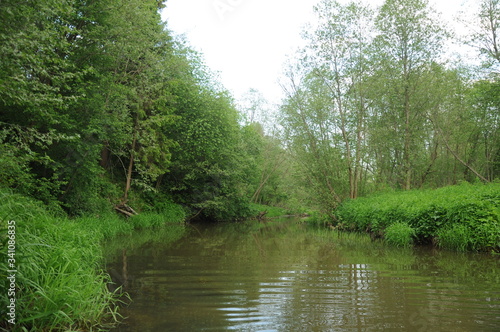 Water surface of the river surrounded by forest