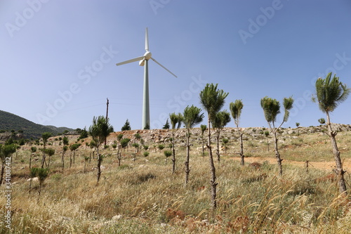 wind farm in the desert