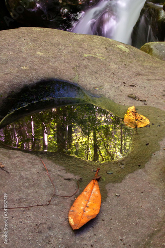 small pool of water in a rock © Lynn Freeny