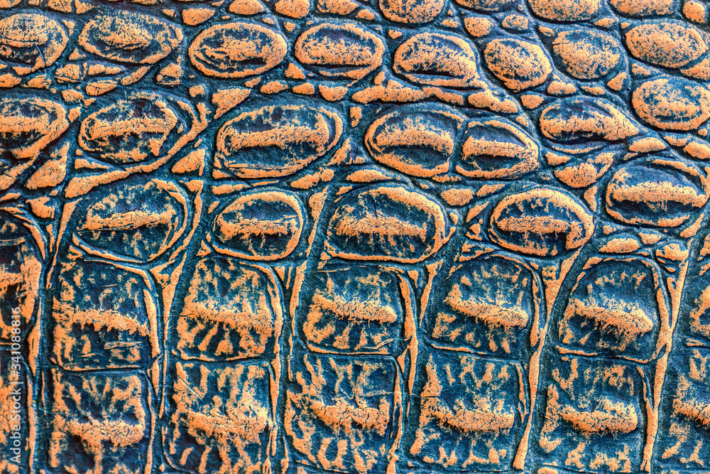 Convex scales of genuine leather, embossed under the skin of a reptile, crocodile, orange blue color. Texture, macro exotic background