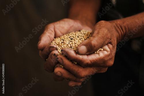 Farmer hands holding seeds