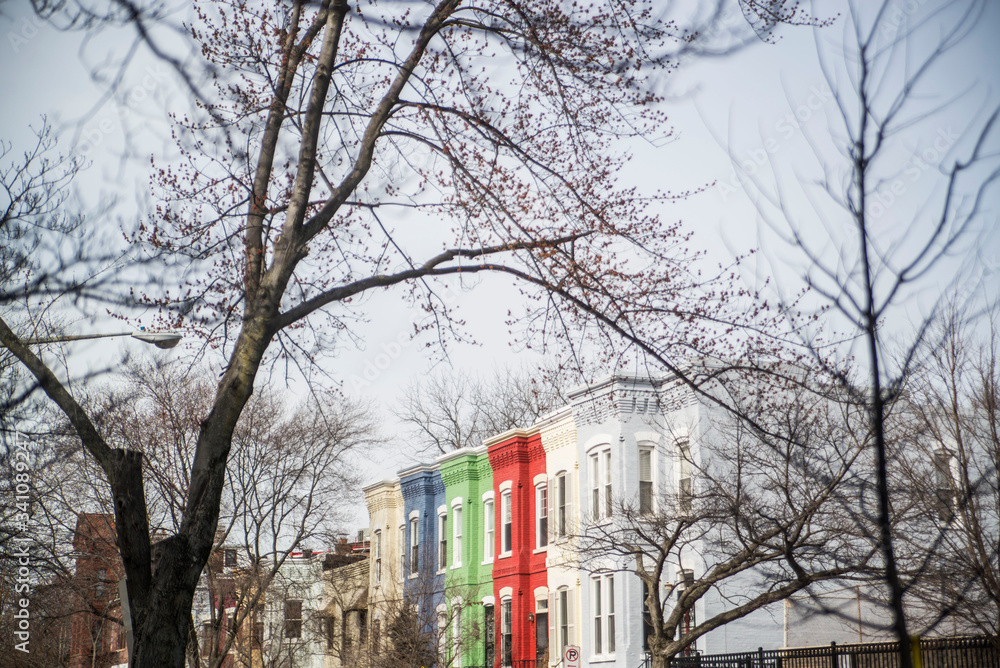 colorful town homes in washington DC