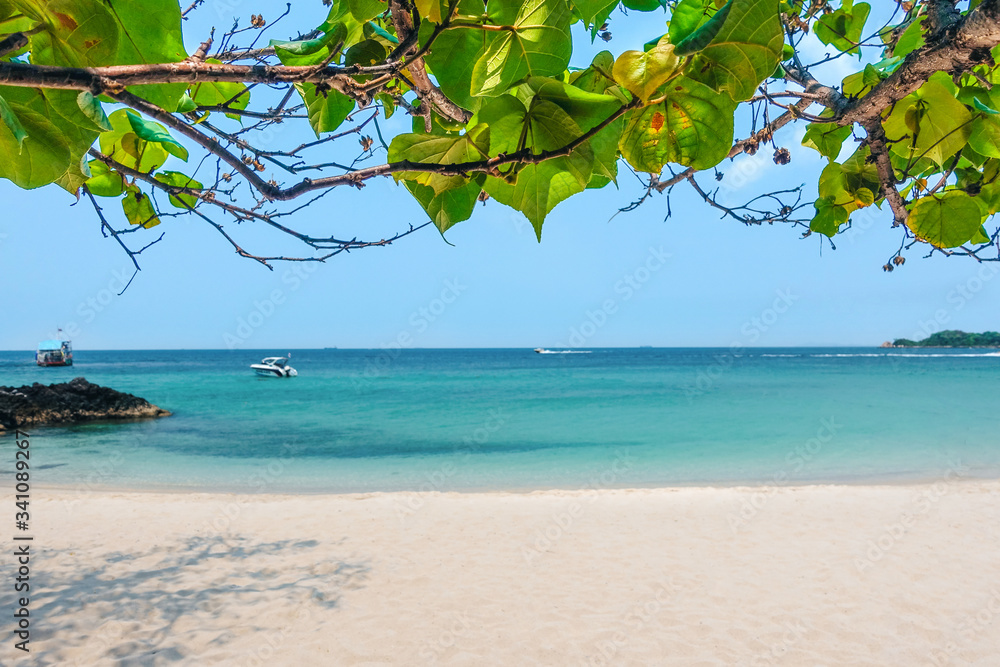 Tropical beach, white sand turquoise sea in the foreground green bushes, the background is out of focus.    