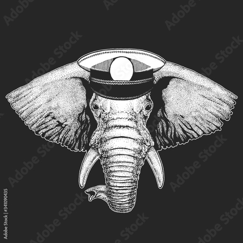 Elephant head. Sailor capitan hat. Portrait of wild animal.