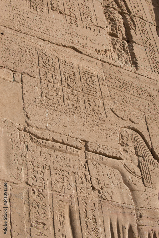 Obraz premium Egypt memoirs