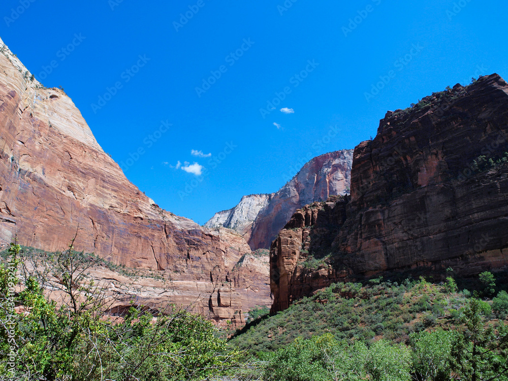 Fototapeta premium Zion National Park in Utah