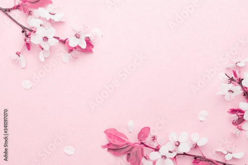 Fototapeta Naklejka Na Ścianę i Meble -  Cherry tree blossom. April floral nature and spring sakura blossom on soft pink background. Banner for 8 march, Happy Easter with place for text. Springtime concept. Top view. Flat lay.