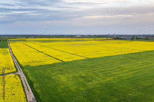 Aerial view of straight ground road with rain puddles in green fields with blooming rapeseed plants on blue sky copy space background. Drone photography.