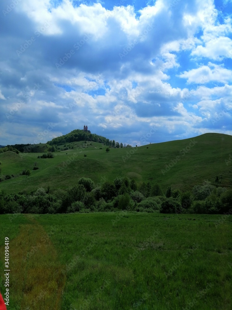 green grass and blue sky