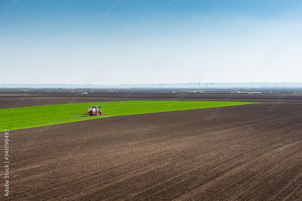 Fototapeta premium Tractor spraying wheat in field