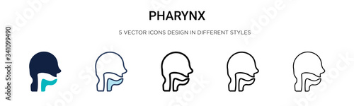 Pharynx icon in filled, thin line, outline and stroke style. Vector illustration of two colored and black pharynx vector icons designs can be used for mobile, ui,