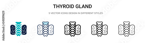 Thyroid gland icon in filled, thin line, outline and stroke style. Vector illustration of two colored and black thyroid gland vector icons designs can be used for mobile, ui,