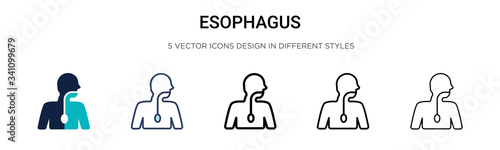 Esophagus icon in filled, thin line, outline and stroke style. Vector illustration of two colored and black esophagus vector icons designs can be used for mobile, ui,