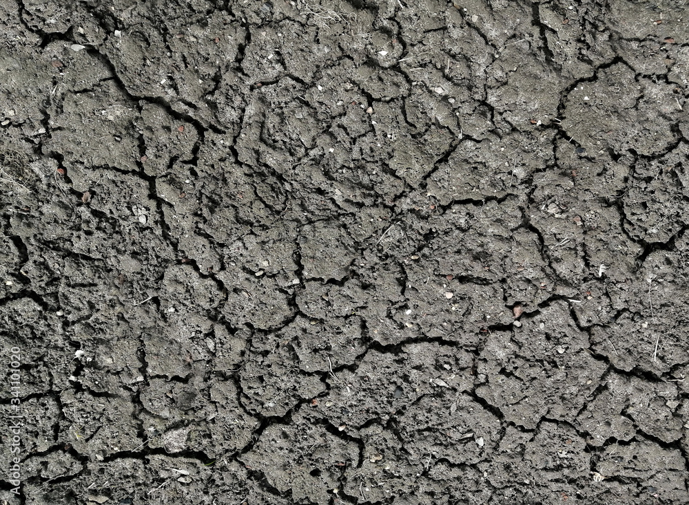 texture of the gray earth with cracks after the earthquake texture of the gray earth with cracks after the earthquake