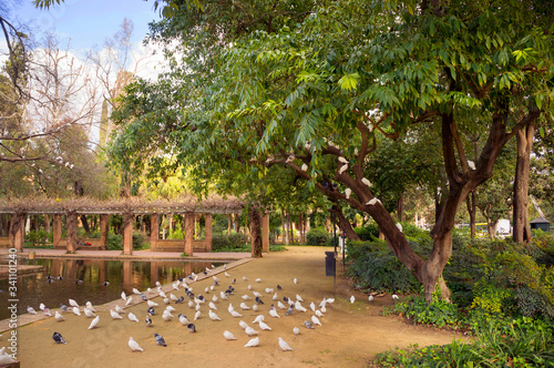 Near Spain Square is the Maria Louise Park, where there are a lot of beautiful pigeons on trees and paths - a local attraction