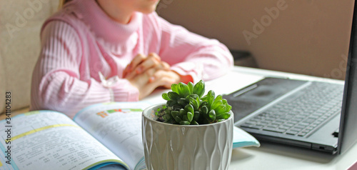 Pretty stylish schoolgirl studying homework, social distance during quarantine, self-isolation, online education concept