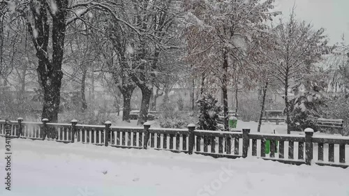 PARQUE CON ARBOLES NEVANDO RUMANIA NEVANDO