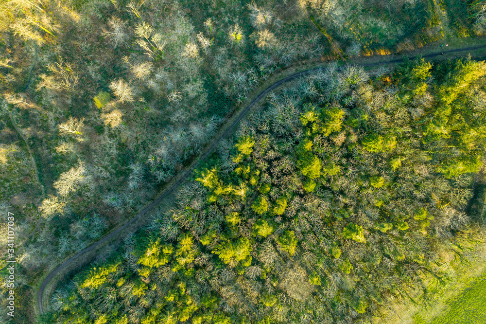 Amazing view aerial drone wood Ireland Cork County Irish forest green trees Amazing view aerial drone wood Ireland Cork County Irish forest green trees
