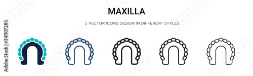 Maxilla icon in filled, thin line, outline and stroke style. Vector illustration of two colored and black maxilla vector icons designs can be used for mobile, ui,