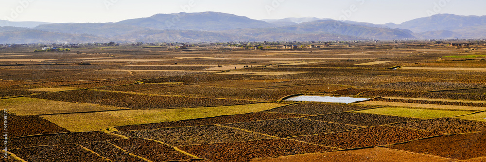 Terres cultivées dans les hautes-terres de Madagascar