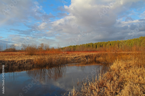 Spring bare shrub near a river on blue sky background.