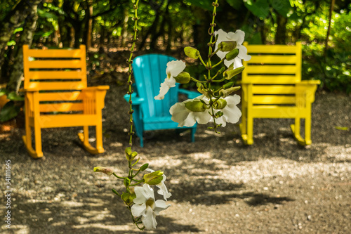 chair in the garden