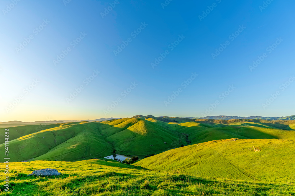 Grass Fields in Hills with Cow Pond 