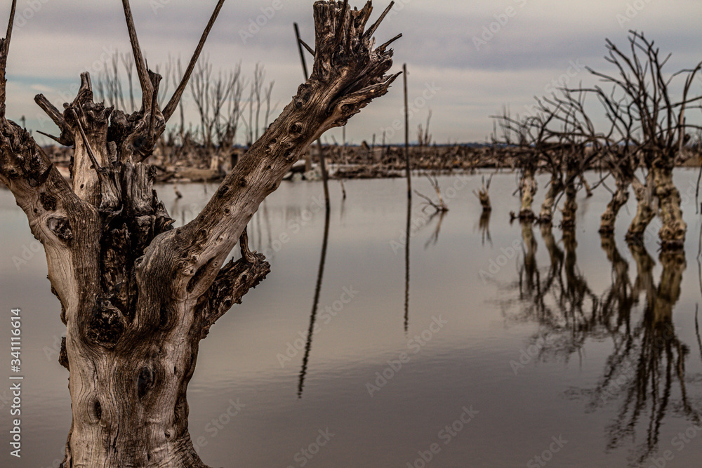 Flooded city of Epecuen in Buenos Aires, Argentina. Ruins in the abandoned village. Dead trees and flooded areas in the destroyed city. Flooded city of Epecuen in Buenos Aires, Argentina. Ruins in the abandoned village. Dead trees and flooded areas in the destroyed city.