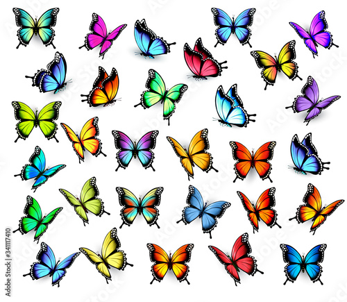 Big collection of colorful butterflies, flying in different directions. Vector.