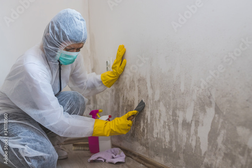 Female worker of cleaning service removes mold from wall using spray bottle with mold remediation chemicals and scraper tool. photo